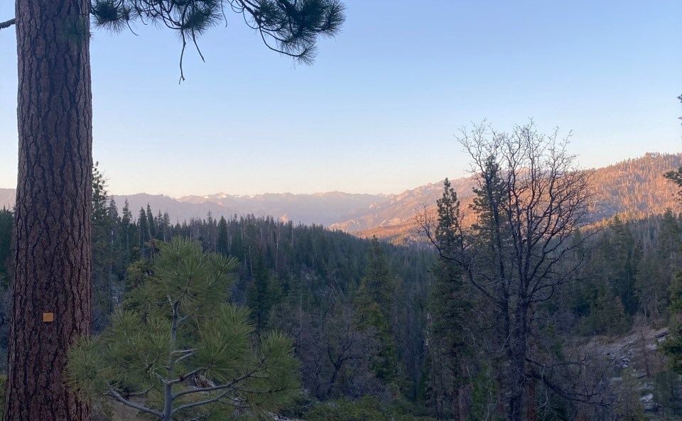 I sit atop a mountain of death